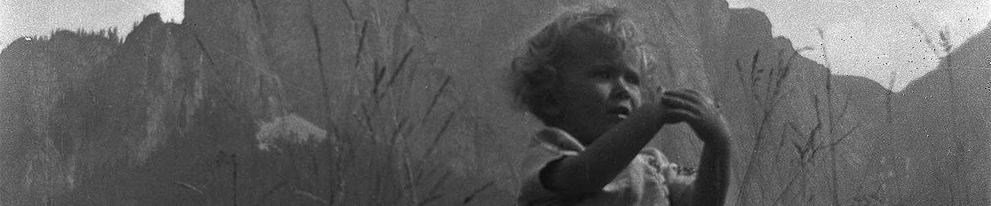 De pracht van alledag