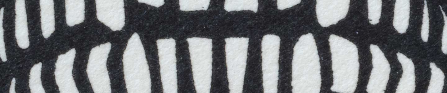 Vergankelijkheid vereeuwigd: Julie de Graag & M.C. Escher