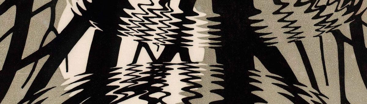 De spiegeling in Rimpeling