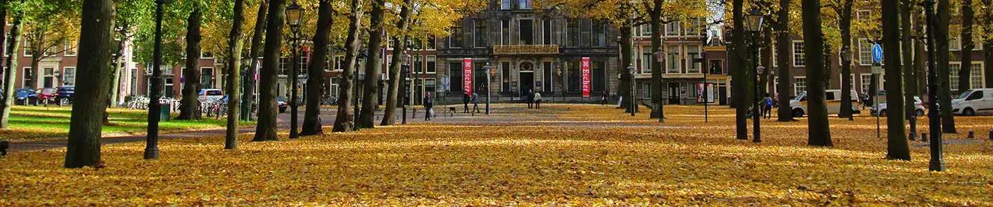 Bezoekersinformatie