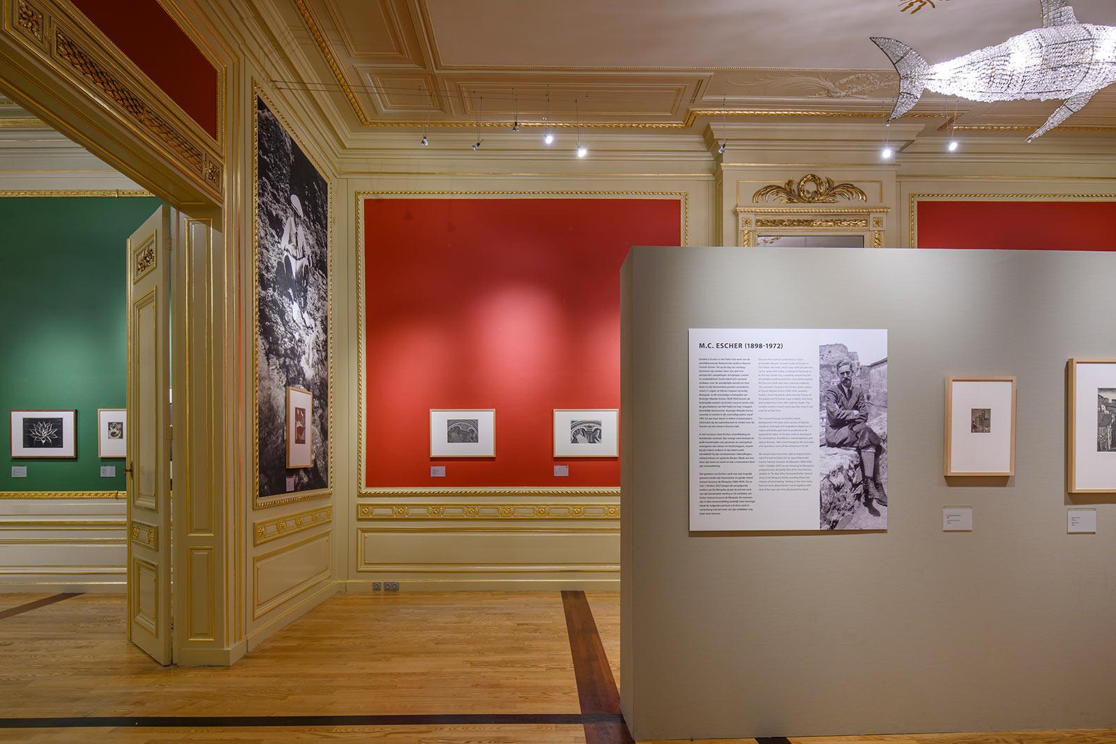 <p>Foto's: Peter Cox</p>