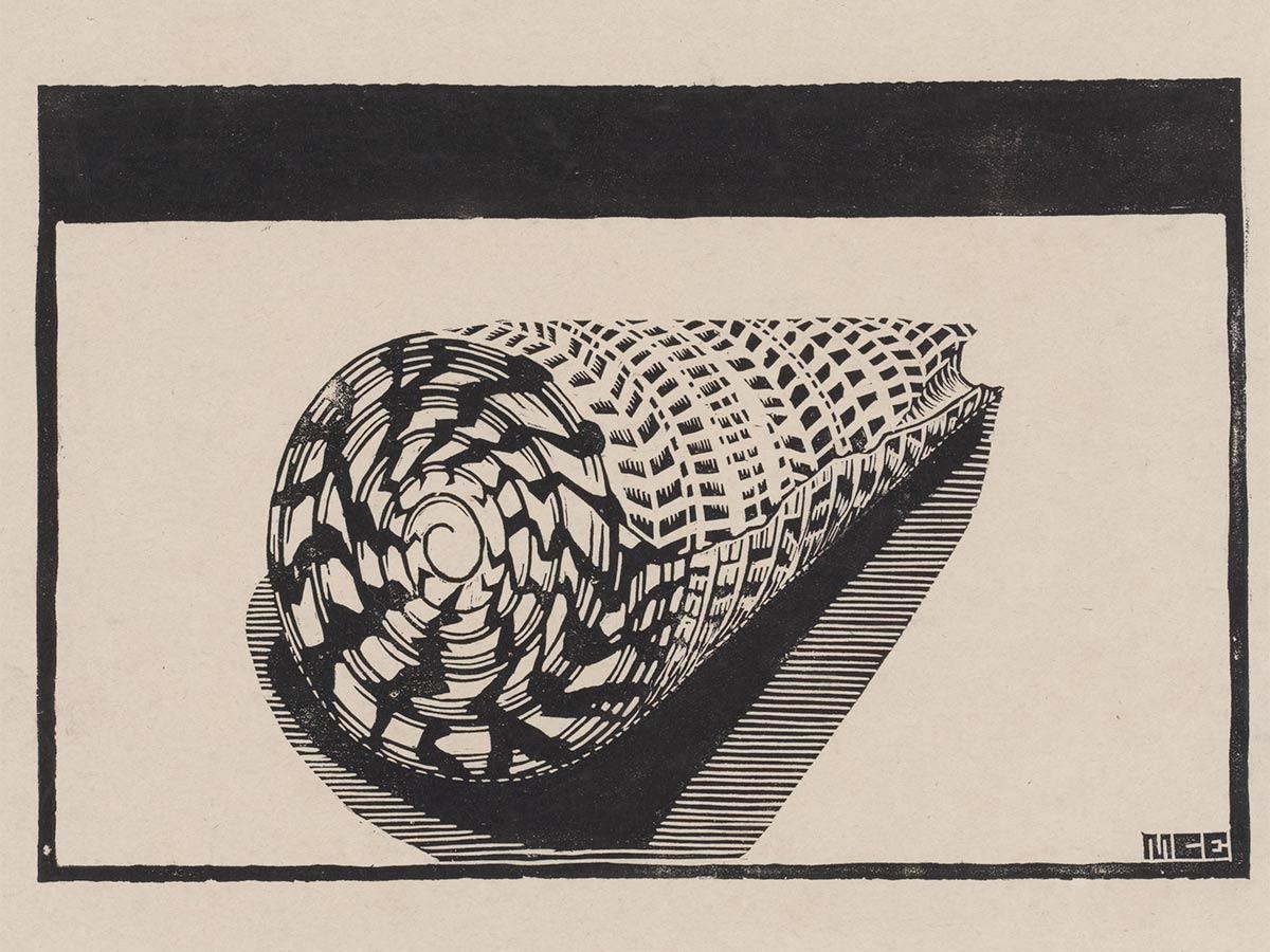 M.C. Escher, Schelp, houtsnede, 1919 of 1920