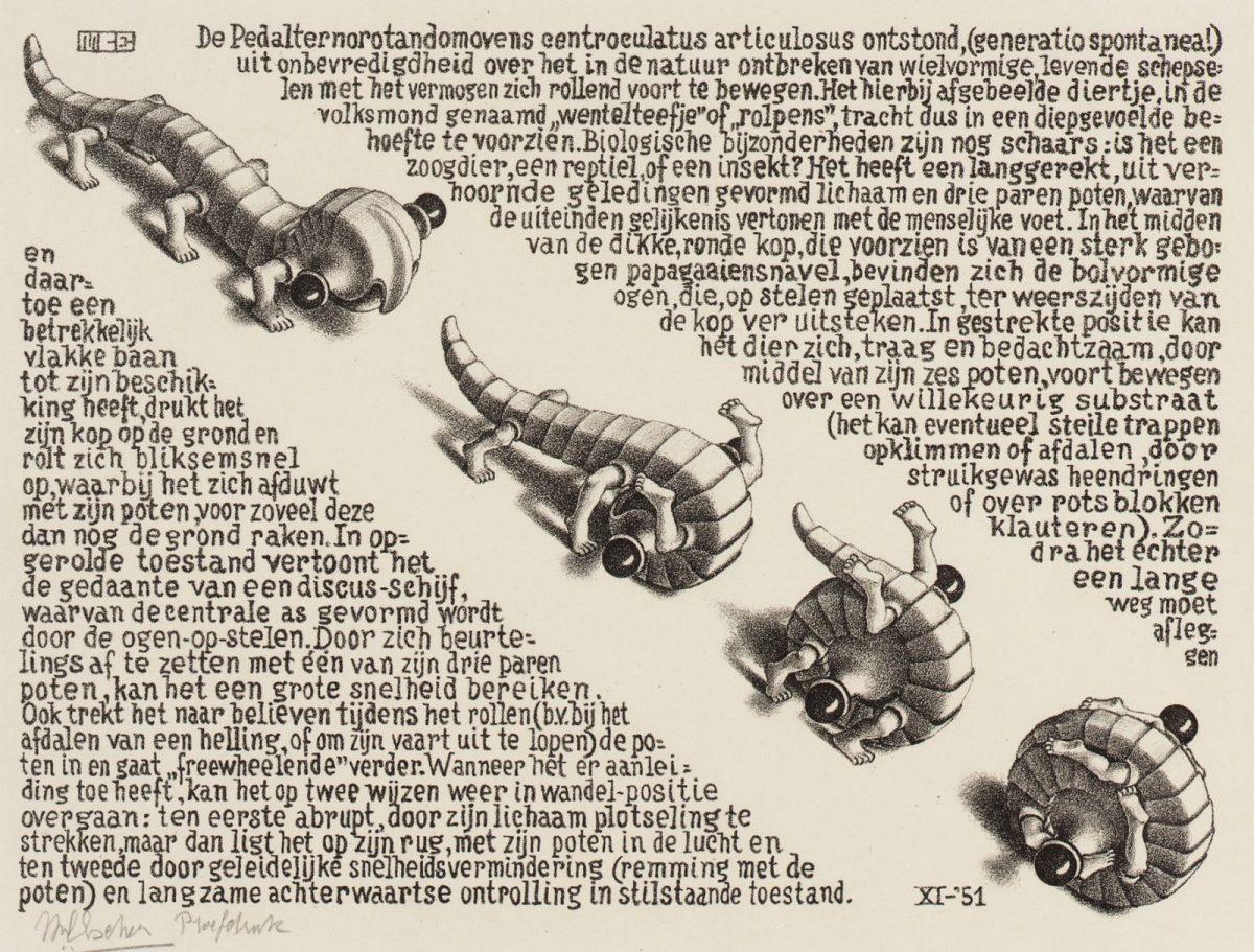 M.C. Escher, Wentelteefje, litho, november 1951
