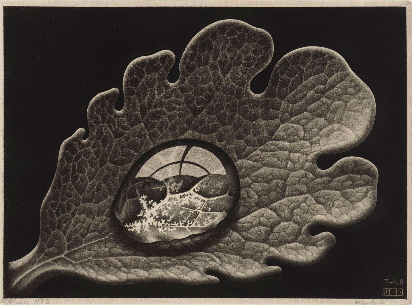 M.C. Escher, Druppel (Dauwdruppel), mezzotint, februari 1948