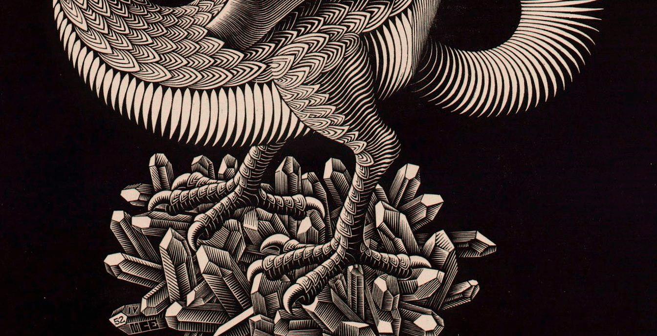 M.C. Escher, Draak, houtgravure, maart 1952 (detail poten)