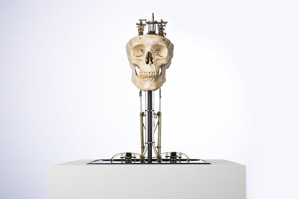 Jelle Korevaar, ..., 2017