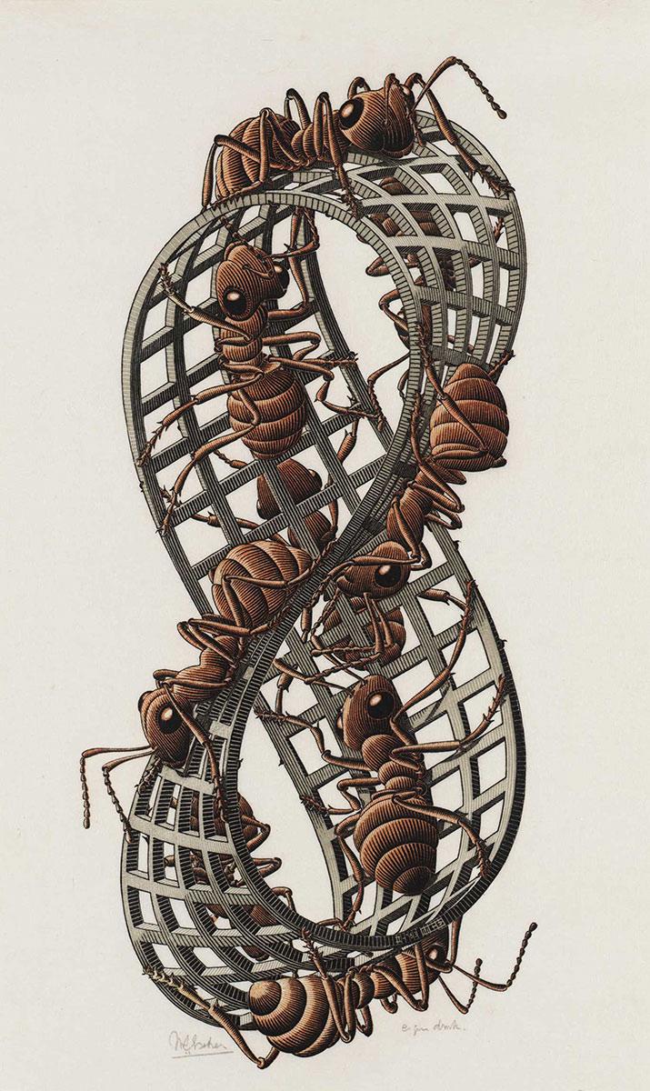 <p>M.C. Escher, Band van Möbius II (Rode mieren), houtsnede in rood, zwart en grijsgroen, gedrukt van drie blokken, februari 1963</p>